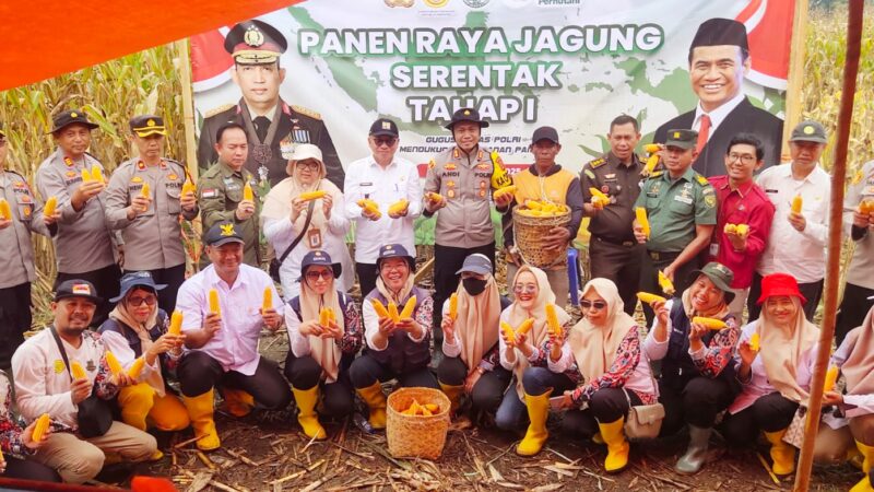 Dukung Swasembada Pangan, Kapolres Musi Rawas Bersama Stakeholders Gelar Panen Raya Jagung Serentak Tahap I di Desa Air Satan 