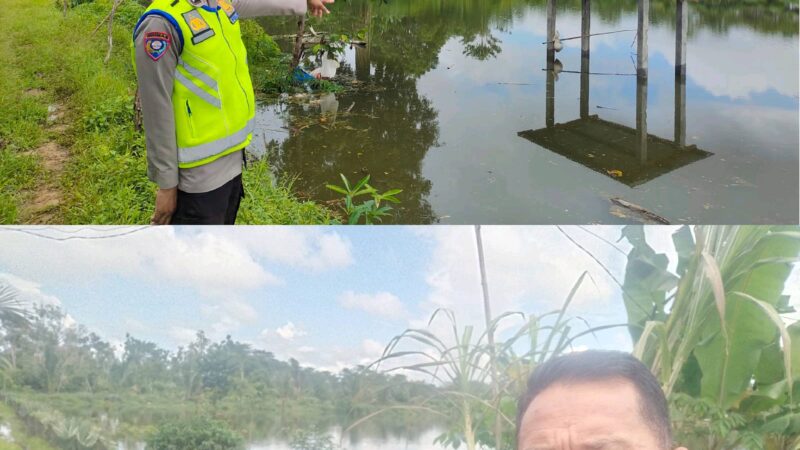 Muncul Buaya di Dalam Kolam, Polsek Purwodadi Polres Musi Rawas Sigap ke TKP dan Himbau Warga Berhati-Hati