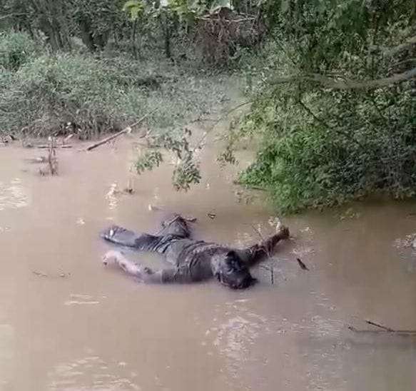 Warga Desa Batu Kucing. Hebohkan Dengan Penemuan Mayat Mengapung Disungai