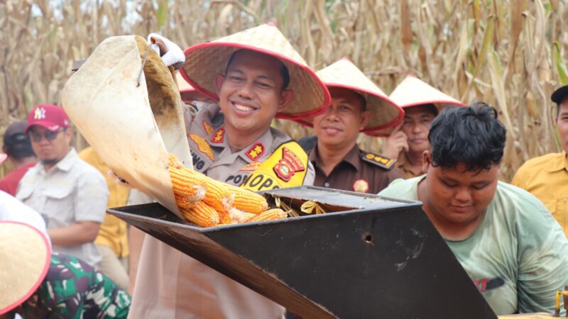 Program Presiden Panen Raya Jagung Tahap II, Kapolres Musi Rawas : Meningkatkan Perekomian, Mencegah Gangguan Kamtibmas 