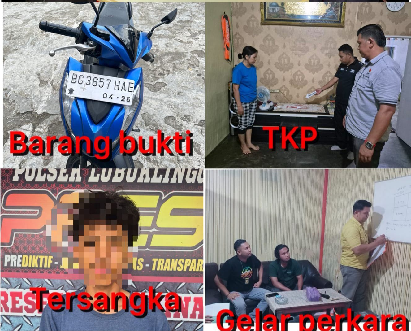 Polsek Lubuk Linggau Barat Berhasil menangkap Pencuri (Mlh)