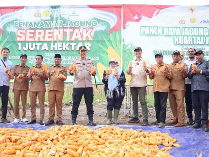 Sukseskan Program Presiden RI Swasembada Pangan, Sinergitas Kapolres Musi Rawas Bersama PT Lonsum Sei Lakitan Panen Jagung Bersama