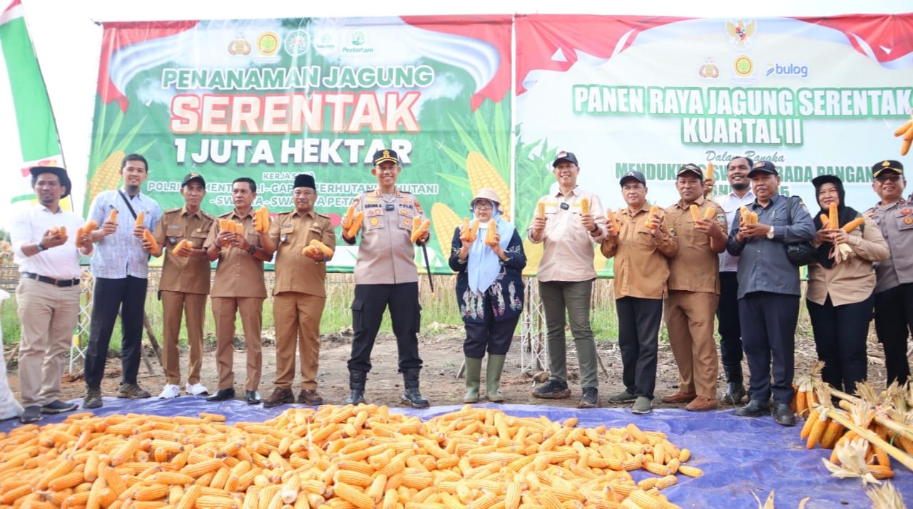 Sukseskan Program Presiden RI Swasembada Pangan, Sinergitas Kapolres Musi Rawas Bersama PT Lonsum Sei Lakitan Panen Jagung Bersama