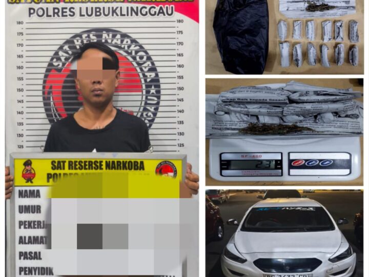 Satuan Reserse Narkoba Polres Lubuklinggau Ungkap Peredaran Narkoba Jenis jenis Ganja