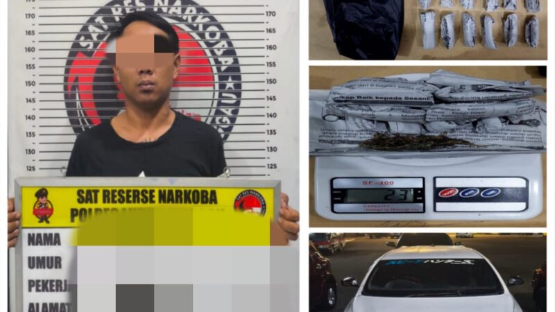 Satuan Reserse Narkoba Polres Lubuklinggau Ungkap Peredaran Narkoba Jenis jenis Ganja