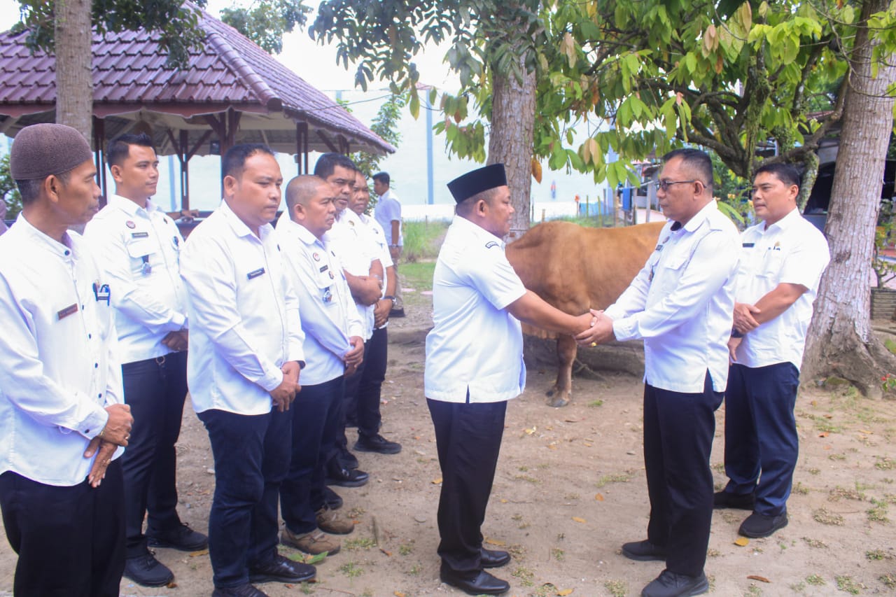 Wakil Bupati Labuhanbatu Serahkan Sapi Kurban Bantuan Gubernur Sumut Untuk Lapas Rantauprapat