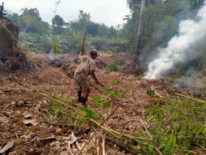 Kebakaran Hutan di Kelurahan Belalau, Polsek Lubuklinggau Utara bersama Tim Relawan Bergotong Royong Padamkan Api