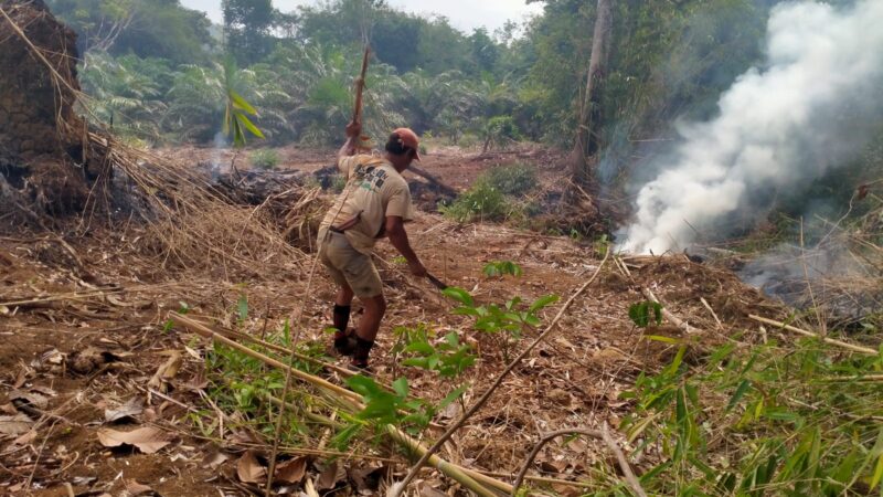 Kebakaran Hutan di Kelurahan Belalau, Polsek Lubuklinggau Utara bersama Tim Relawan Bergotong Royong Padamkan Api