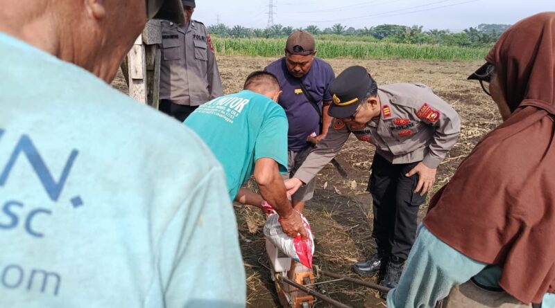 Polsek Lubuk Linggau Timur Dukung Ketahanan Pangan Nasional, Sinergi Bersama Sektor Pertanian 