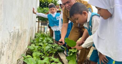 Inovasi Gema Sahabat Bunda Paud Membuahkan Hasil, Kadisdik Panen Hasil Ketahanan Pangan Bersama Guru Dan Siswa Di TK Pembina 