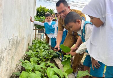 Inovasi Gema Sahabat Bunda Paud Membuahkan Hasil, Kadisdik Panen Hasil Ketahanan Pangan Bersama Guru Dan Siswa Di TK Pembina 