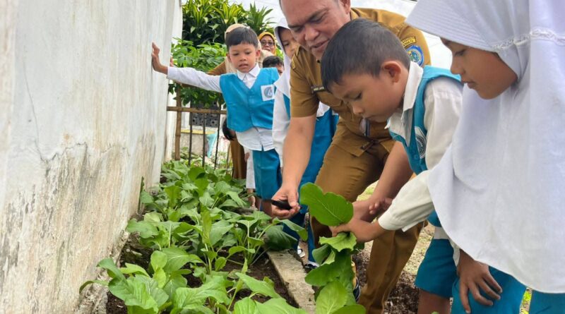 Inovasi Gema Sahabat Bunda Paud Membuahkan Hasil, Kadisdik Panen Hasil Ketahanan Pangan Bersama Guru Dan Siswa Di TK Pembina 