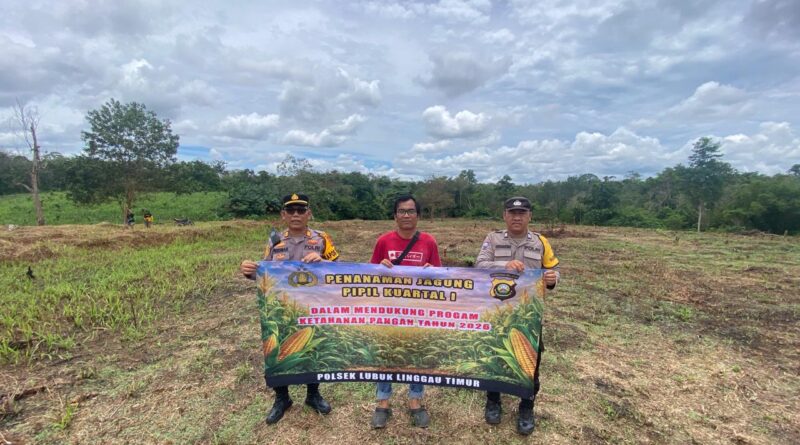 Program Penanaman Komoditas Jagung Memiliki Peran Strategis dalam Rantai Pangan Nasional, Polsek Lubuklinggau Timur, Polres Lubuklinggau Sinergi Dengan Sektor Pertanian 