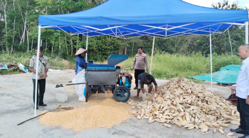 Bukti Nyata Peran Kepolisian, Polres Lubuk Linggau Dukung Ketahanan Pangan Dampingi Masyarakat Uji Coba Mesin Pipil Jagung