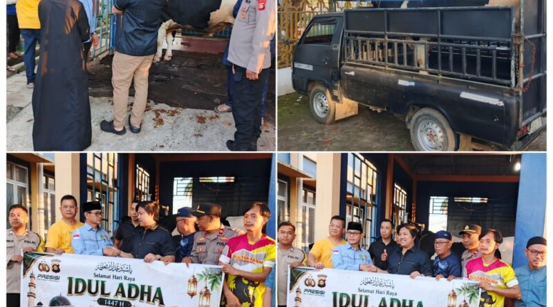 Sambut Hari Raya Idul Adha 1447 H, Kapolda Sumsel Salurkan Kurban Dua Ekor Sapi Berukuran Jumbo di wilayah Kota Lubuk Linggau 