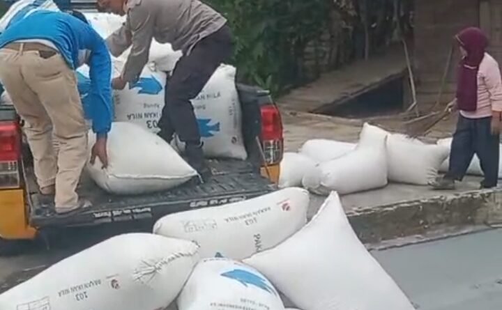 Wujud Nyata Ketahanan Pangan, Polres Mura Dampingi Petani Jagung Maksimalkan Pengolahan Pascapanen di Desa Jajaran Baru II