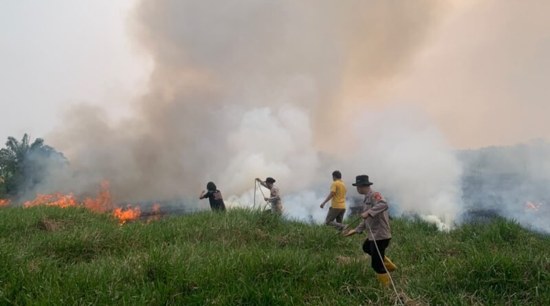 Lahan Gambut 4 Hektare Terbakar di Prabumulih II, Polsek Muara Lakitan Polres Musi Rawas Bergerak Cepat Jinakkan Api