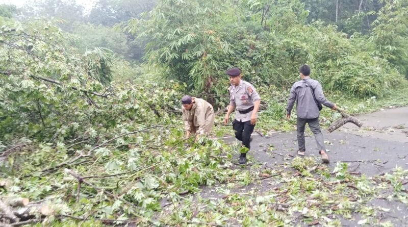 Respon Cepat Pohon Tumbang Menghalangi Arus Lalulintas Akibat Derasnya Curah Hujan, Dengan Sigapnya Patroli Polsek Lubuk Linggau Barat Bersama Warga Melakukan Pembersihan